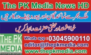 The Pk Media Correspondents